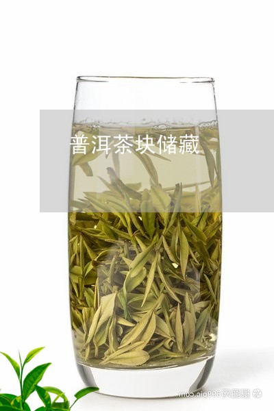 普洱茶块储藏/2023042759932