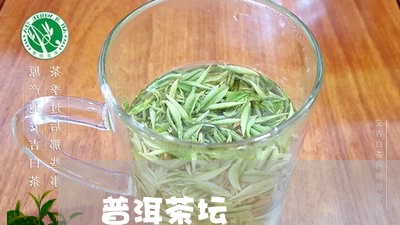 普洱茶坛/2023090181018