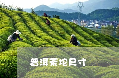 普洱茶坨尺寸/2023042651965