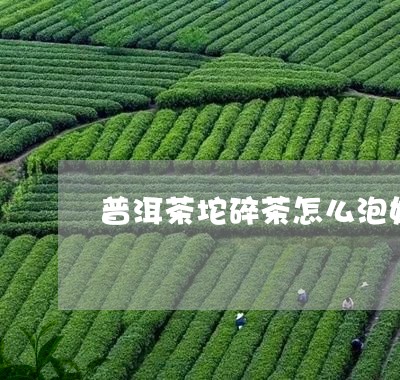 普洱茶坨碎茶怎么泡好喝/2023101738593