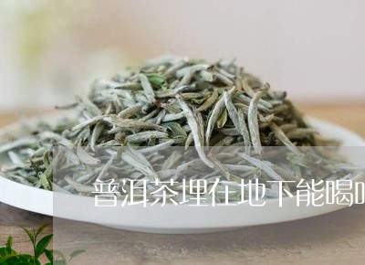 普洱茶埋在地下能喝吗/2023062173038