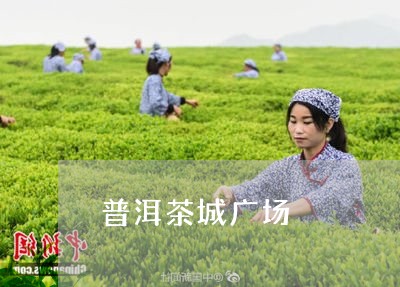 普洱茶城广场/2023042852905