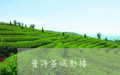 普洱茶城影楼/2023042870