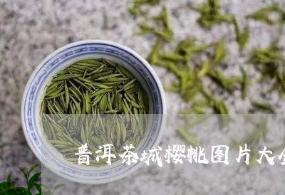 普洱茶城樱桃图片大全/2023062498272