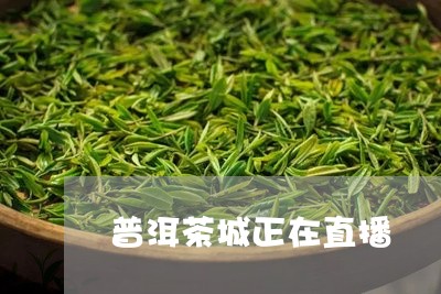 普洱茶城正在直播/2023112648581