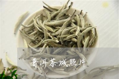 普洱茶城照片/2023042773500