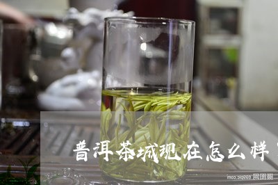 普洱茶城现在怎么样了啊/2023103119481