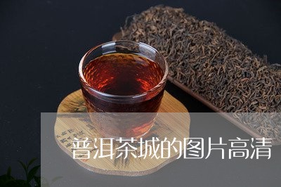 普洱茶城的图片高清/2023091525257