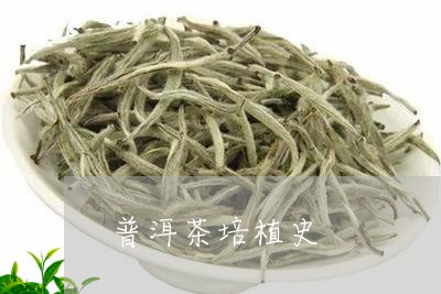 普洱茶培植史/2023042744445