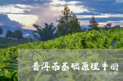 普洱茶基础原理手册/2023091334948