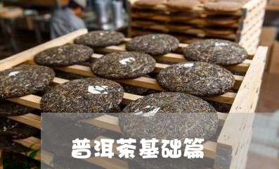 普洱茶基础篇/2023042796723