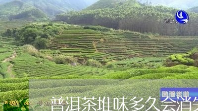 普洱茶堆味多久会消失/2023062112705