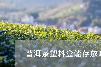 普洱茶塑料盒能存放吗/2023061664050