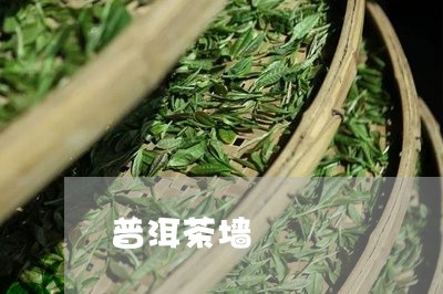 普洱茶墙/2023110827271