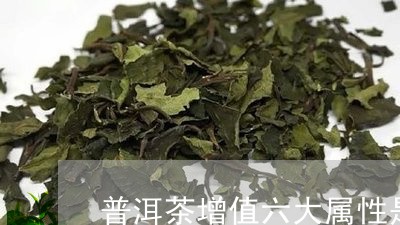 普洱茶增值六大属性是什么/2023112498582