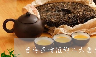 普洱茶增值的三大要素/2023092806180