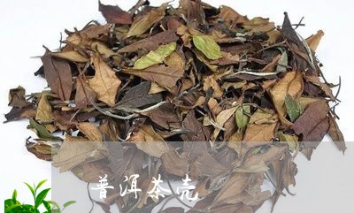 普洱茶壳/2023110890683