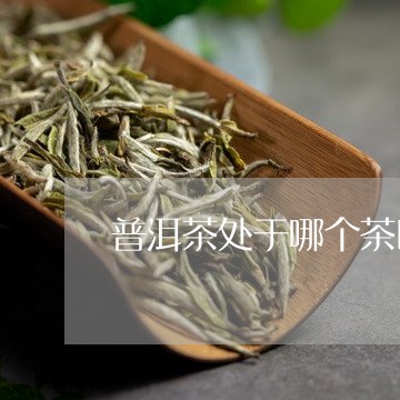 普洱茶处于哪个茶区/2023070974150