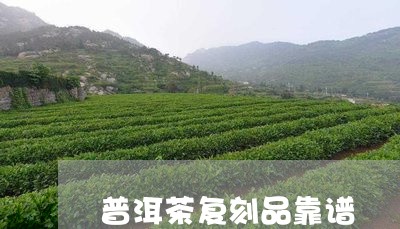 普洱茶复刻品靠谱/2023120451693