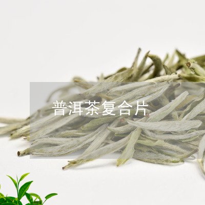 普洱茶复合片/2023042809866