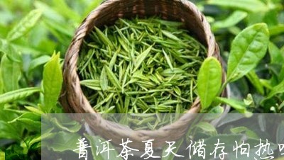 普洱茶夏天储存怕热吗/2023062771492