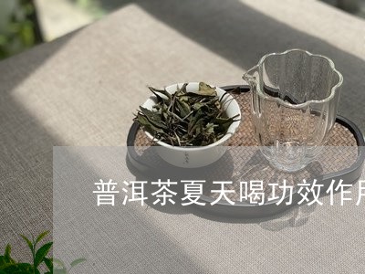 普洱茶夏天喝功效作用是什么/2023052840824