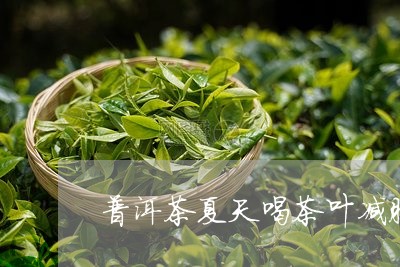 普洱茶夏天喝茶叶减肥可以吗/2023110466183