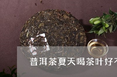 普洱茶夏天喝茶叶好不好/2023110661483