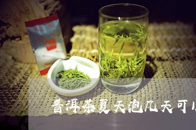 普洱茶夏天泡几天可以喝/2023050762606