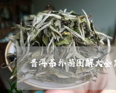 普洱茶外箱图解大全集图/2023050655136