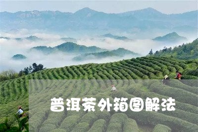 普洱茶外箱图解法/2023083065137