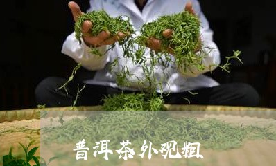 普洱茶外观粗/2023091370794