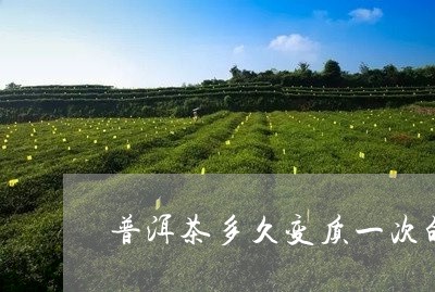 普洱茶多久变质一次的茶/2023121643915