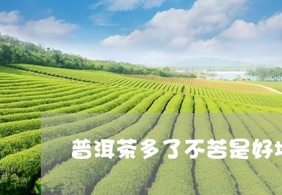 普洱茶多了不苦是好坏/2023080205925