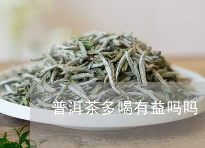 普洱茶多喝有益吗吗/2023071085830