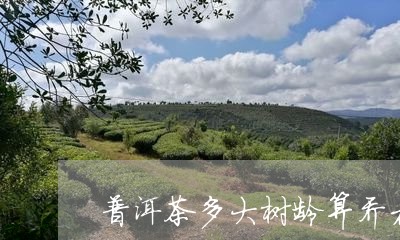 普洱茶多大树龄算乔木/2023061924148