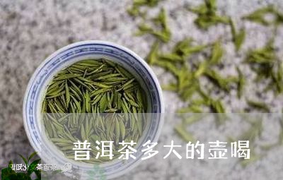 普洱茶多大的壶喝/2023120763836