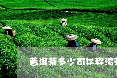 普洱茶多少可以称浓茶/2023080211693