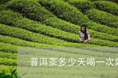 普洱茶多少天喝一次好一点/2023082856279