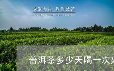 普洱茶多少天喝一次好一点/2023110464726