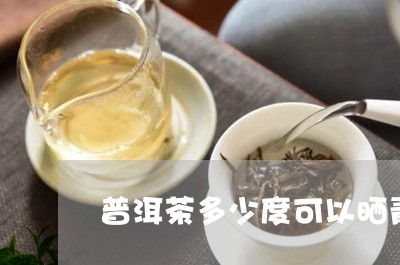 普洱茶多少度可以晒青/2023092706950