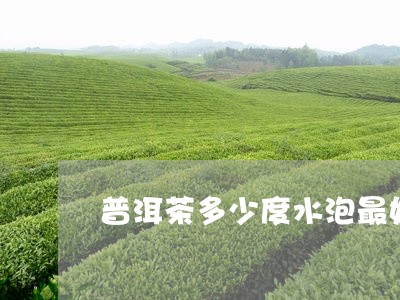 普洱茶多少度水泡最好呢/2023110106462