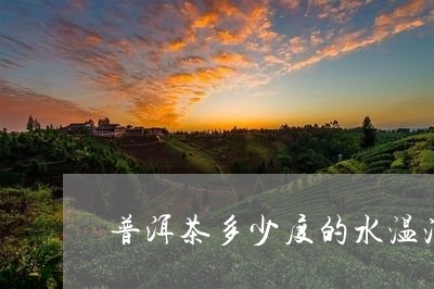 普洱茶多少度的水温泡/2023092806047