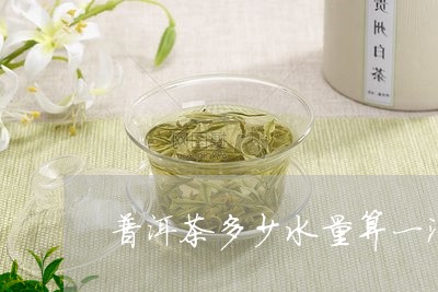 普洱茶多少水量算一泡/2023061994140