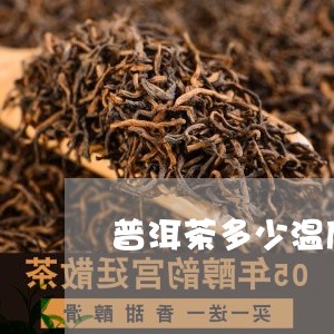 普洱茶多少温度才能喝/2023100589381