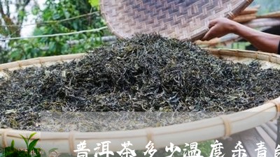 普洱茶多少温度杀青的好/2023050617241