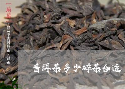 普洱茶多少碎茶合适/2023070942937