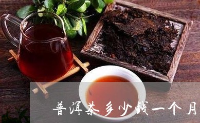 普洱茶多少钱一个月斤/2023092540715