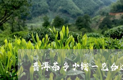 普洱茶多少钱一克合适/2023092616150