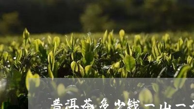 普洱茶多少钱一山一茶/2023093083937